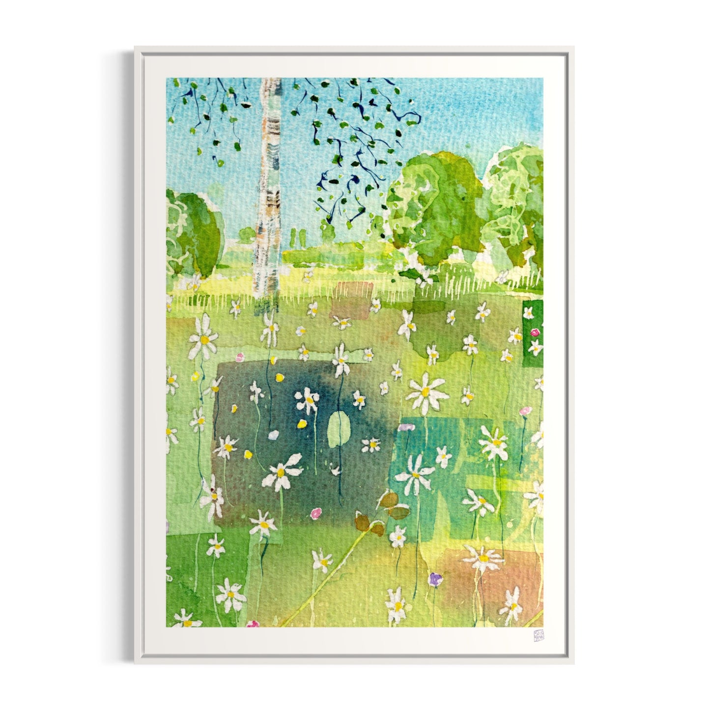 Limited Edition Print - Sunny day birch tree