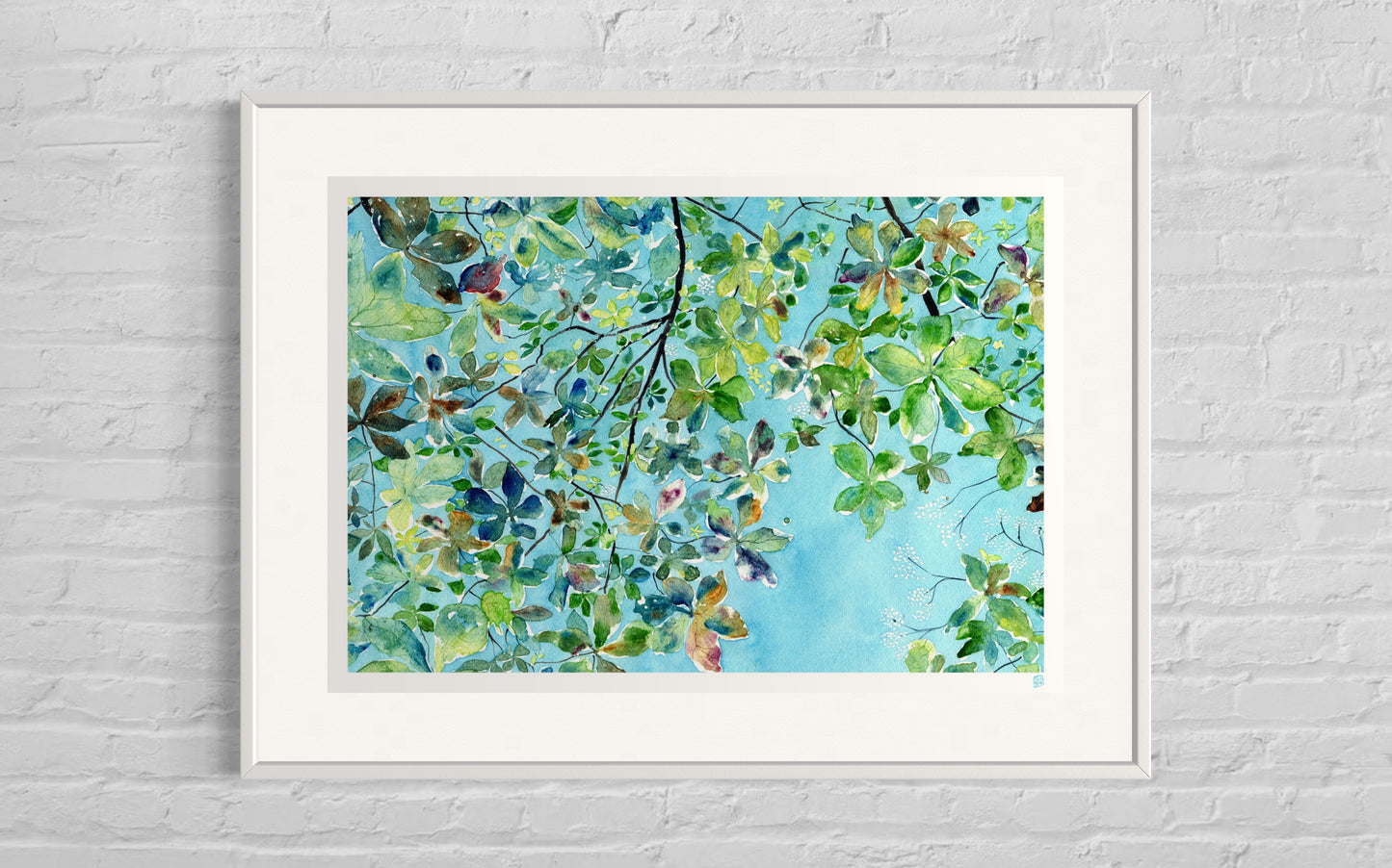 Limited Edition Print - Look Up