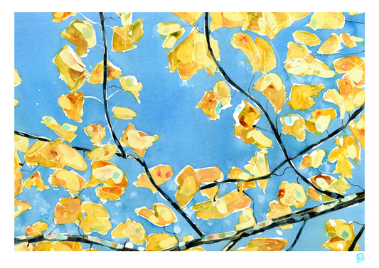 Limited Edition Print - Lifted Above