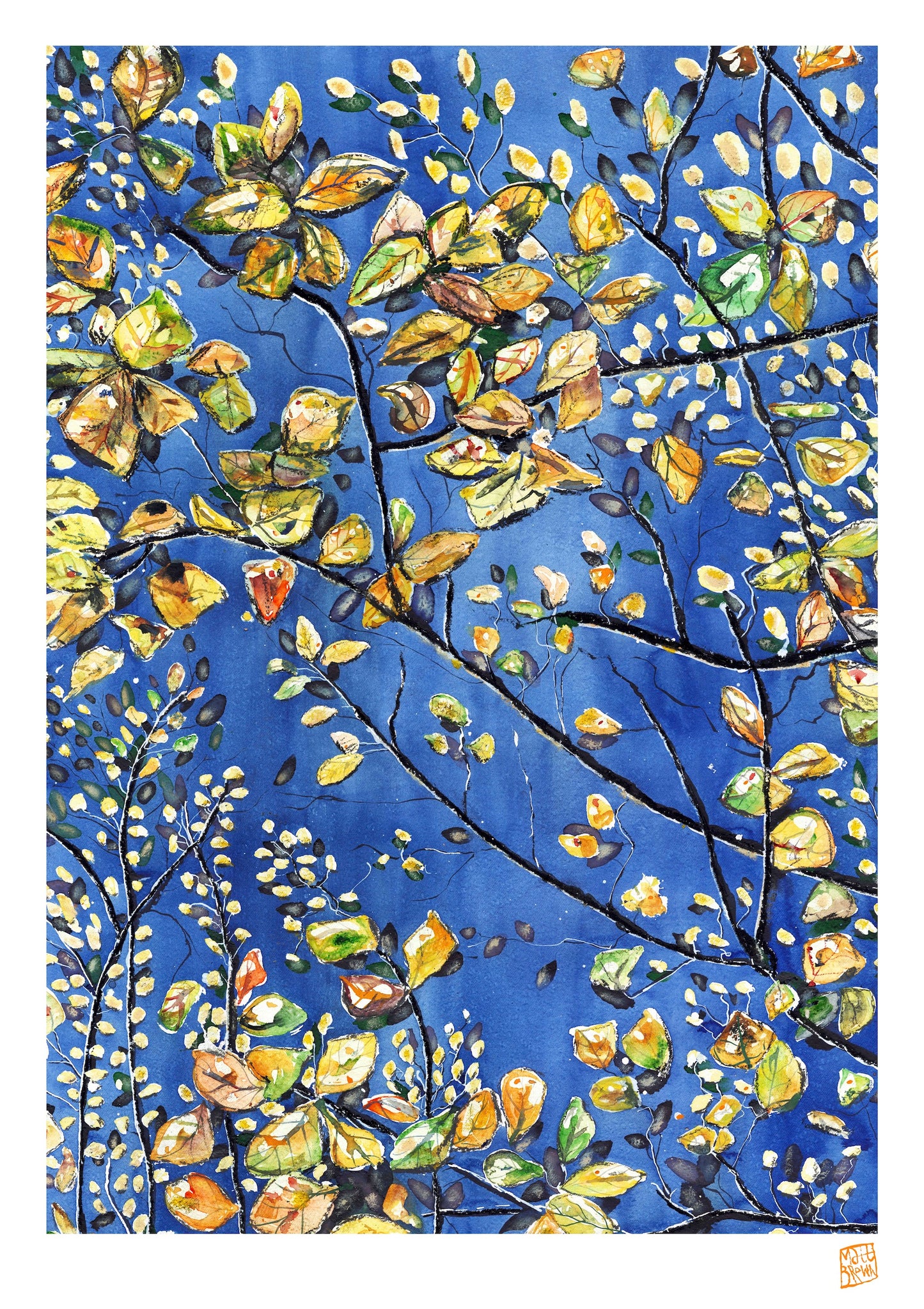 Limited Edition Print - Some Space Above Us