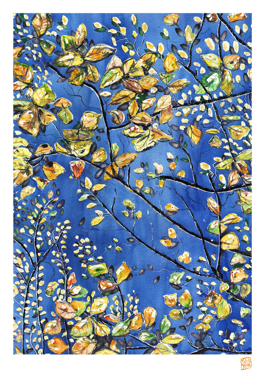 Limited Edition Print - Some Space Above Us