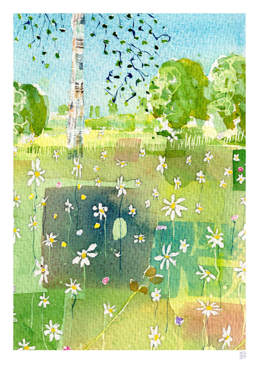 Limited Edition Print - Sunny day birch tree