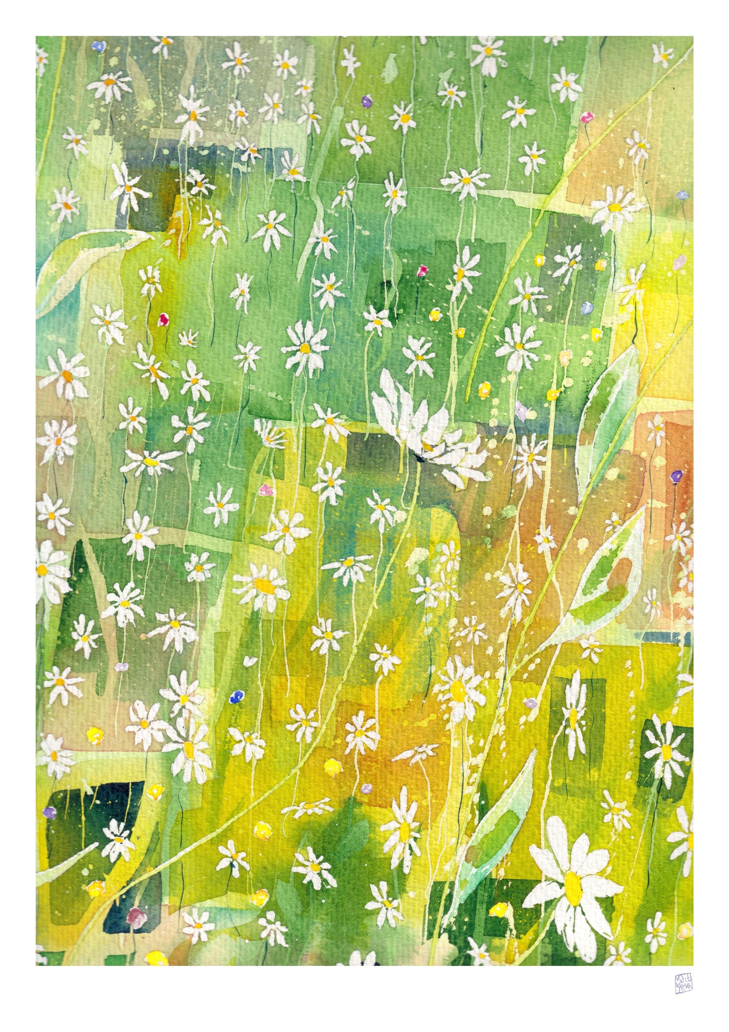 Limited Edition Print - Sun on your face