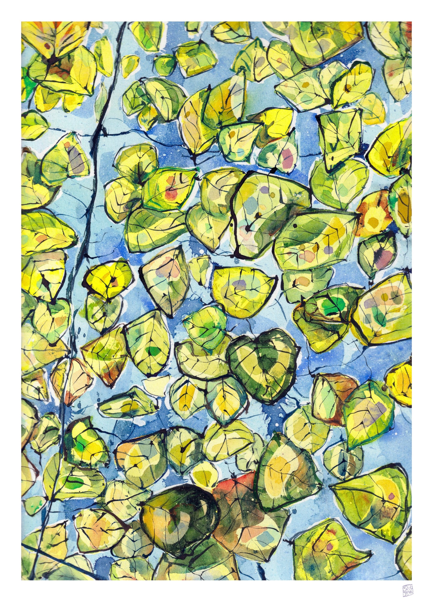 Limited Edition Print - What Summer Leaves