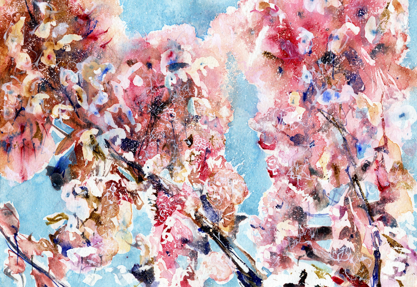 The Delicate (Original, Signed and Framed)