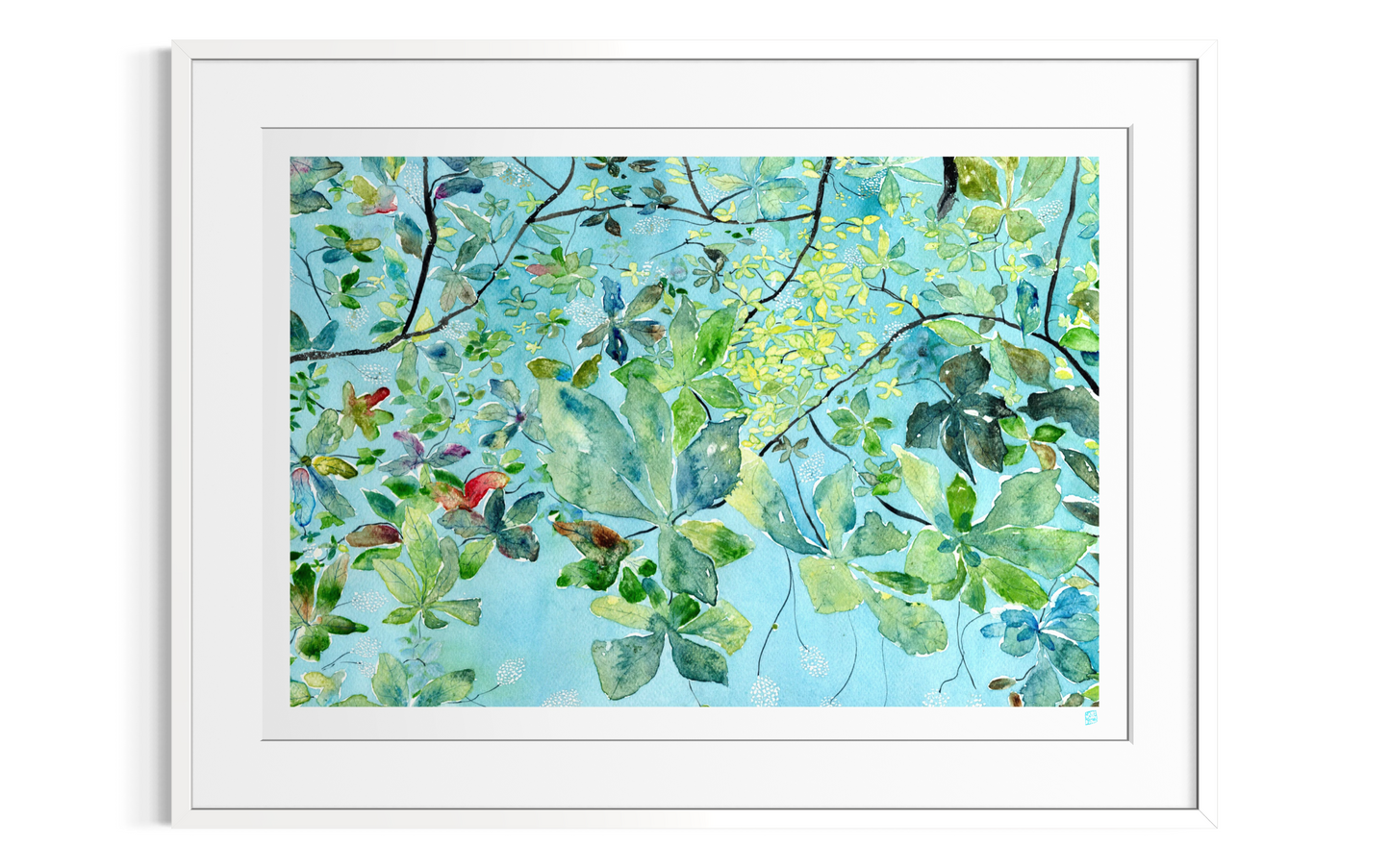 Limited Edition Print - Dapple