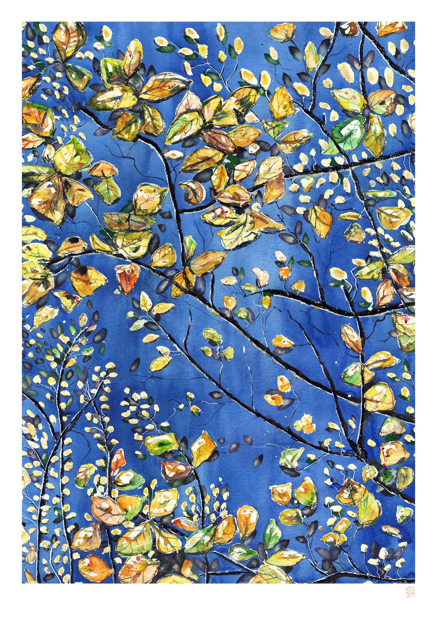 Limited Edition Print - Some Space Above Us