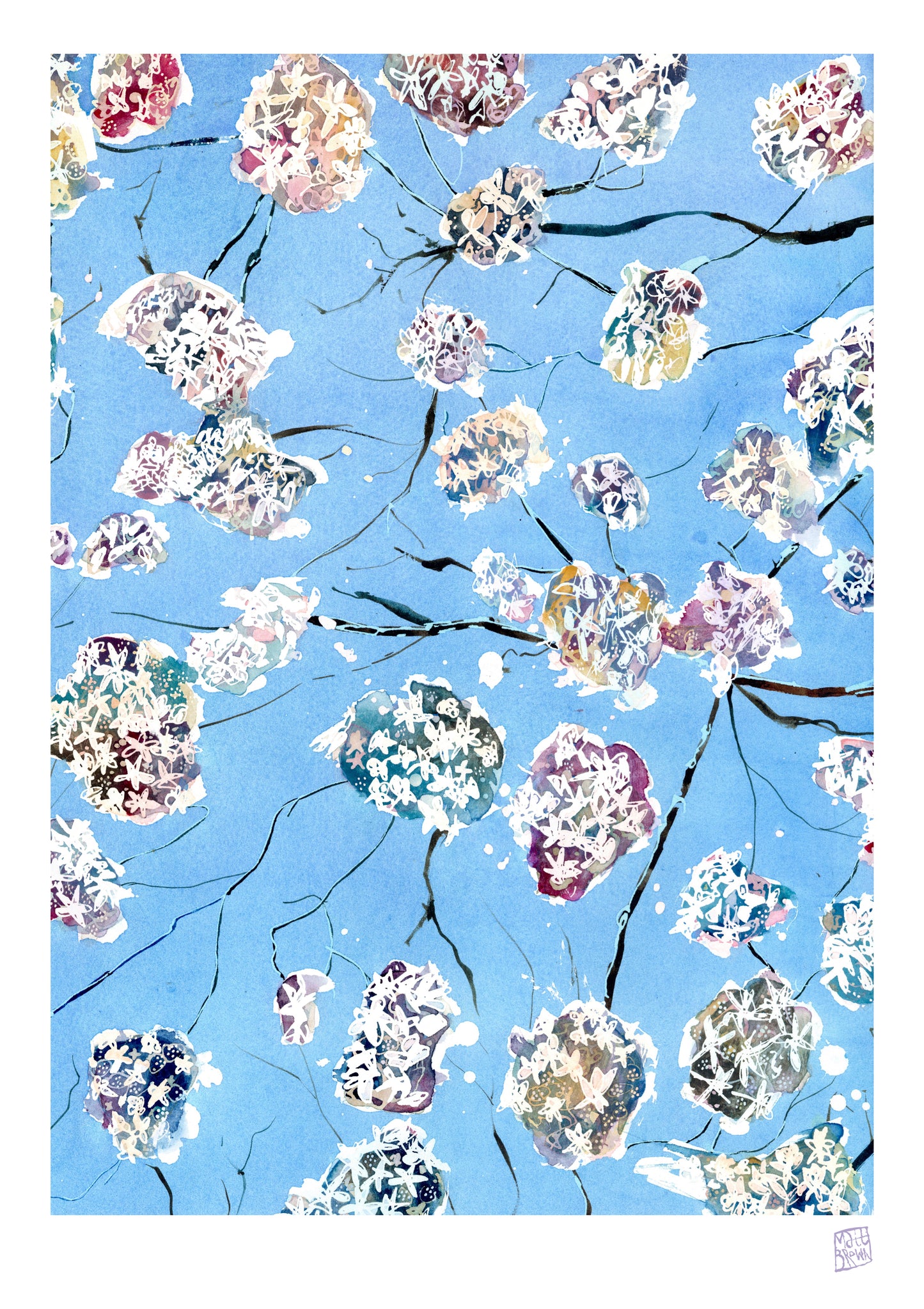 Limited Edition Print - Cherry Blossom