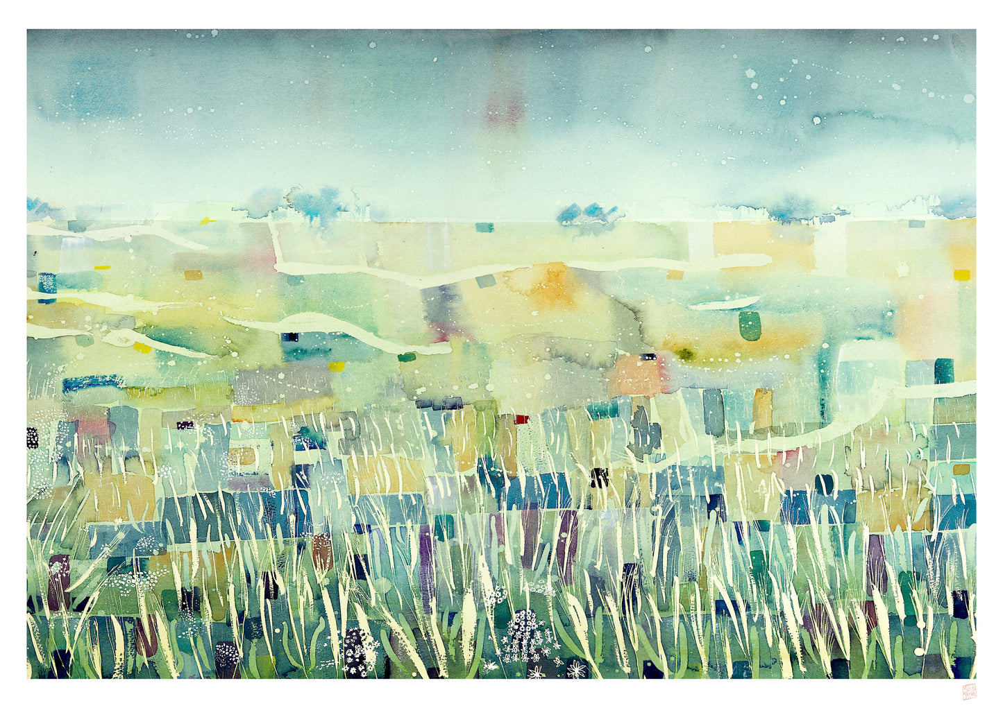 Limited Edition Print - Poppy in a Barley Field