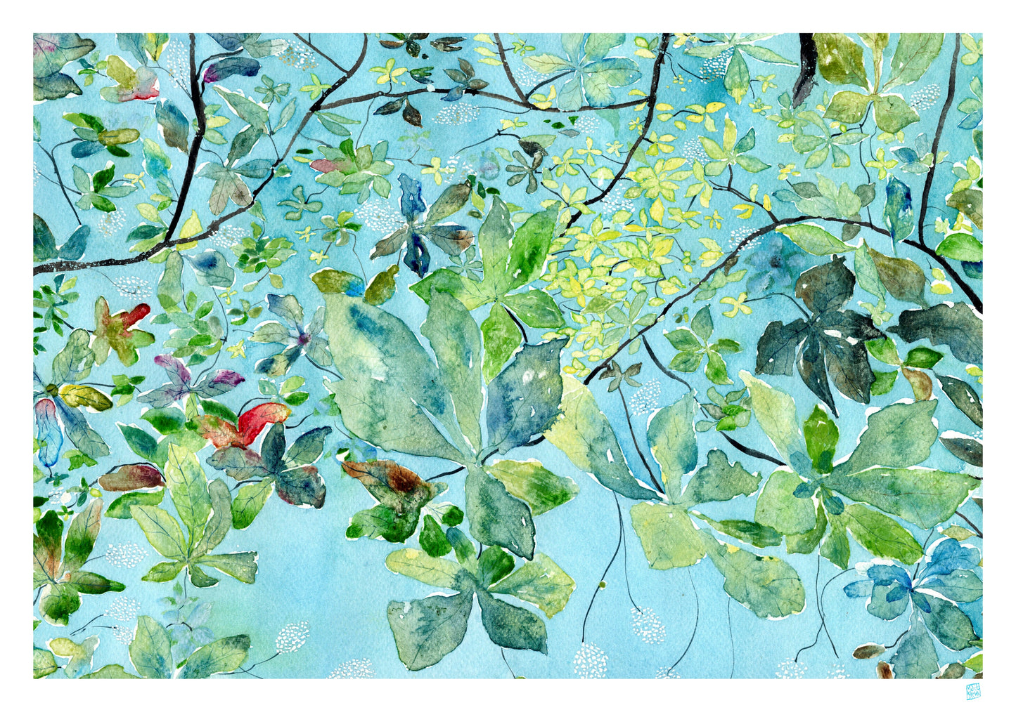 Limited Edition Print - Dapple