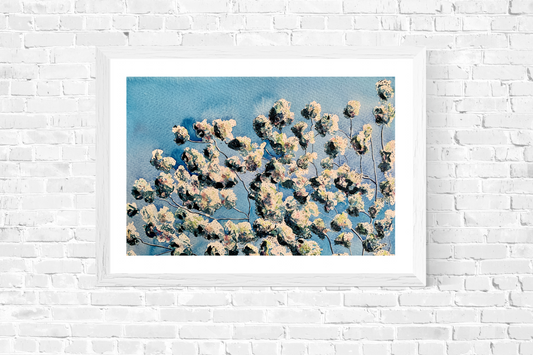 Apple Blossom Sky (Original, Signed and Framed)